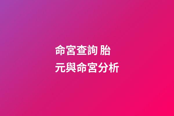 命宮查詢 胎元與命宮分析